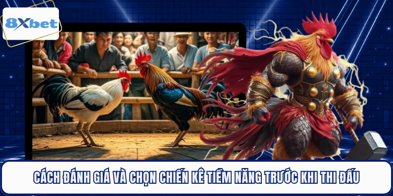 Cách đánh giá và chọn chiến kê tiềm năng trước khi thi đấu