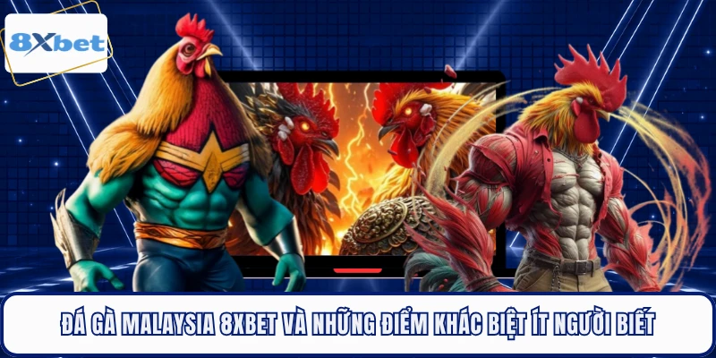 Đá Gà Malaysia 8XBET Và Những Điểm Khác Biệt Ít Người Biết 