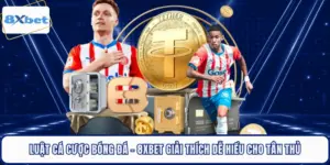 Luật Cá Cược Bóng Đá - 8XBET Giải Thích Dễ Hiểu Cho Tân Thủ