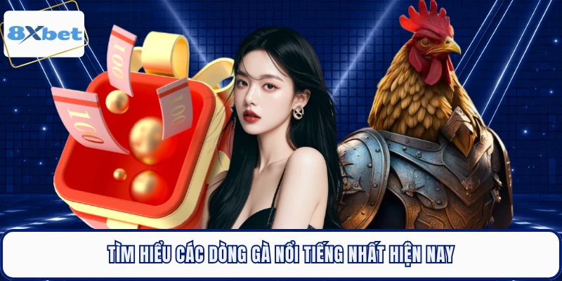 Tìm hiểu các dòng gà nổi tiếng nhất hiện nay