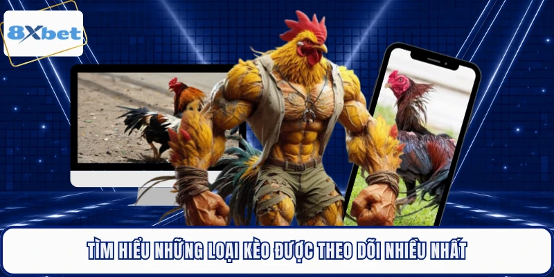 Tìm hiểu những loại kèo được theo dõi nhiều nhất
